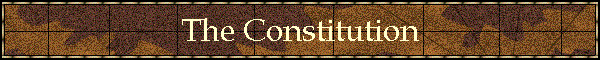 The Constitution